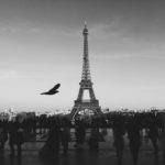 Processed with VSCOcam with b5 preset